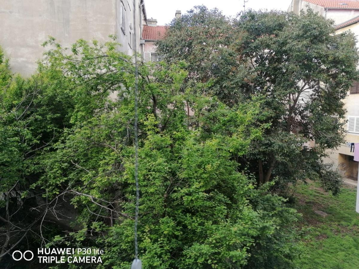 Apartment Linda - Zadar City Center Εξωτερικό φωτογραφία